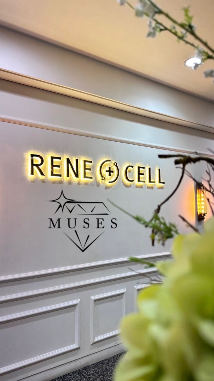 王春菊首席RENE(+)CELL 首席/總監群組