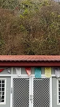 圓覺宗金竹修養中心