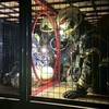 救急・救助・消防技術ラボ（ジミーちゃん研究室）