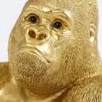 ゴリさんの🦍🔥FX自動売買OC🔥