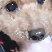 𖧷NAGASAKI𖧷ココロ部屋ゆる友グループ【30代～50代】