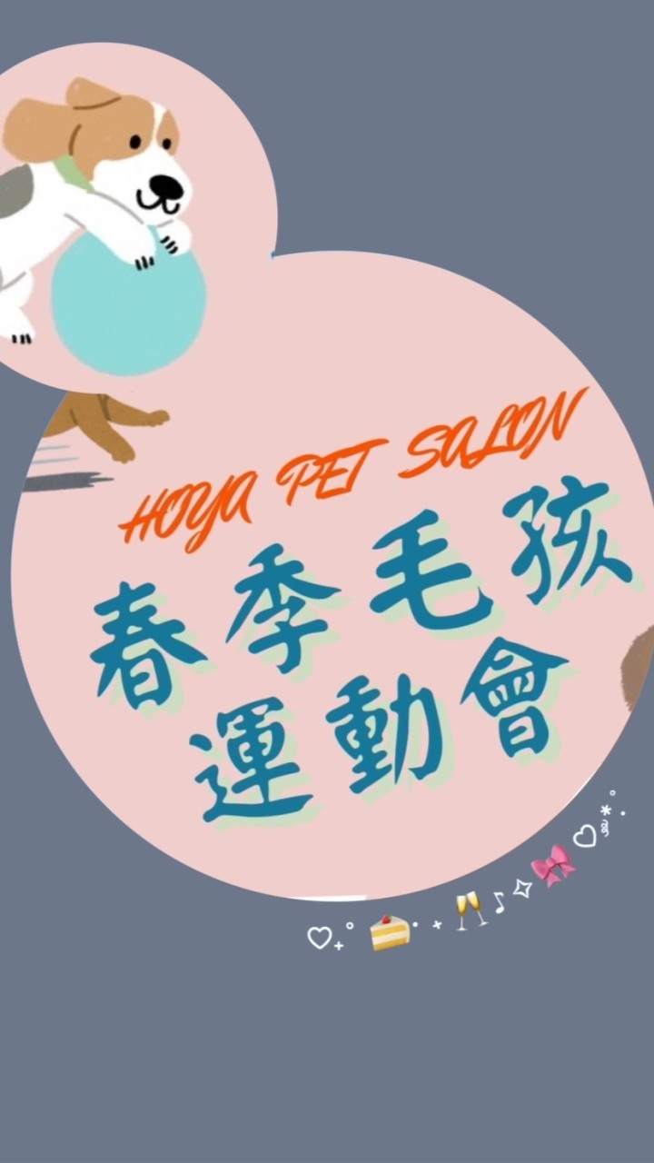 宜蘭狗狗聚會中
