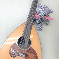 2022新歓🎶神奈川大学マンドリンアンサンブル