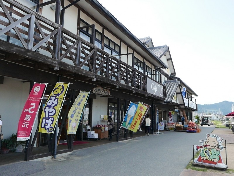 淡路島産のスイカをまるごとスムージに