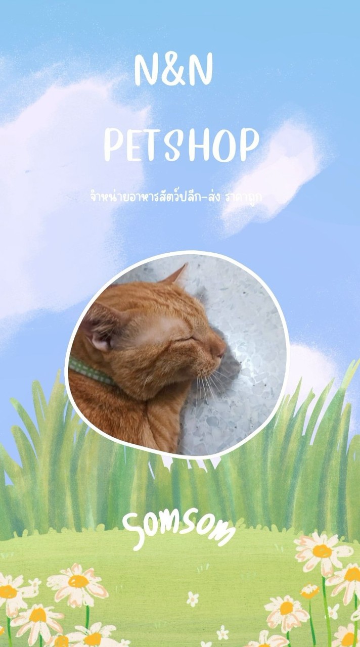 ร้าน N&N PETSHOP