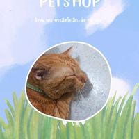 ร้าน N&N PETSHOP