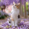 創価学会！！誰とでも愉しく対話*ﾟ✲ฺ٩(ˊᗜˋ*)و✲ฺﾟ*