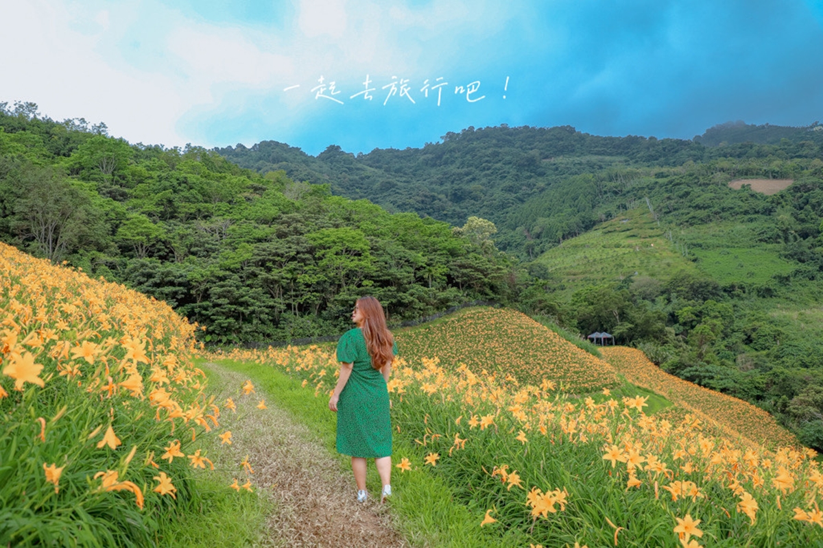 金黃花海攻占全台！５處金針花祕境：多達10萬株、北部最大、衝彰化免費拍爆