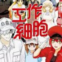 工作细胞对戏群