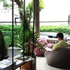 แชร์ไอเดียร้านกาแฟเน้นต้นไม้ ชมธรรมชาติ