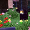 マイクラ統合版レルムズ鯖【いくら鯖】