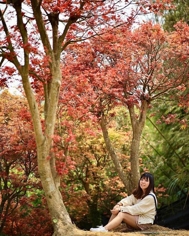 圖片授權：IG @lulu790419