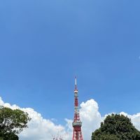 コージーのやるならやらねば🌈🕺🏼
