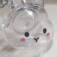 團購兔毛收納器