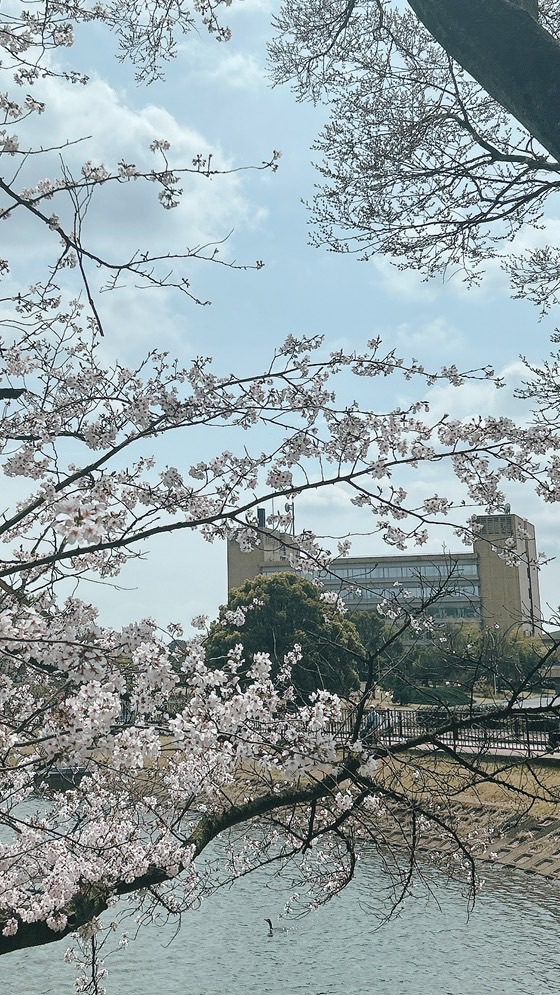 令和7年前期市民大学片づけ受講生