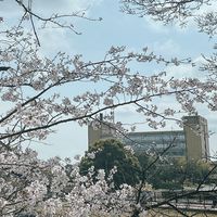 令和7年前期市民大学片づけ受講生