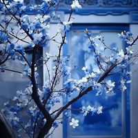 🌸～花香～🌸！你我的香氣～聊天&談心、心事分享、負能量、交心！純 聊（No.2)