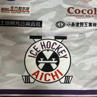愛知ダックス