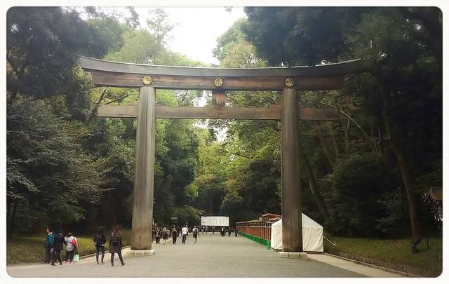 東京深度之旅 沐浴在 明治神宮 的森林芬多精中 順道帶走滿滿的正能量 All About Japan Line Today