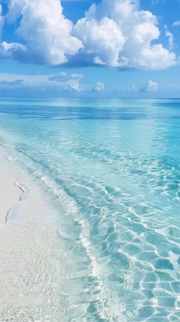 ⋅˚₊ ୨ 袆 月 如 歌 ୧₊˚ ⋅