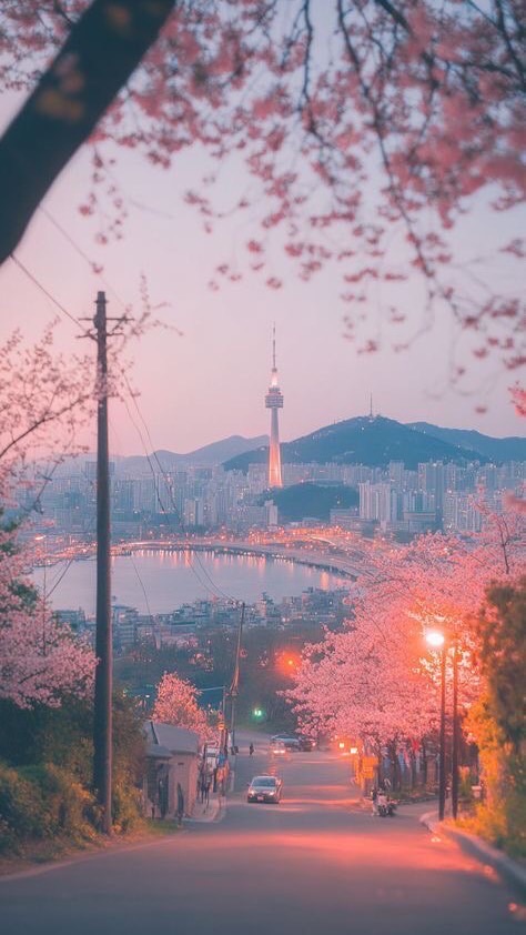 ⋅˚₊ ୨ 袆 月 如 歌 ୧₊˚ ⋅