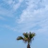 高雄單身聯誼活動群