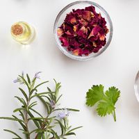 CPTG專業純正調理級認證精油🌹精油輔銷品🌹保養生活用品手作DIY