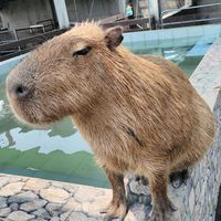 113橙班畢業生