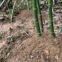 汽車材料，二手零件，入群密碼：825017