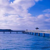 懶貓旅團