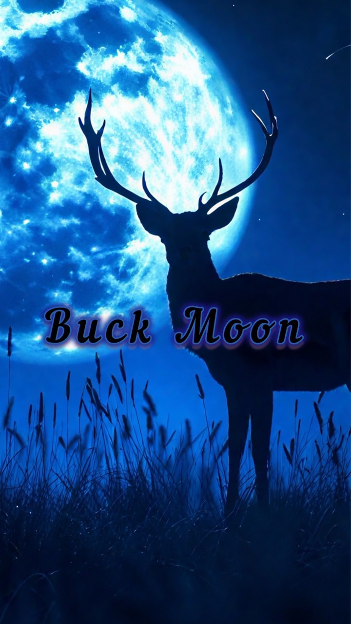 7/5㊐Buck Moon