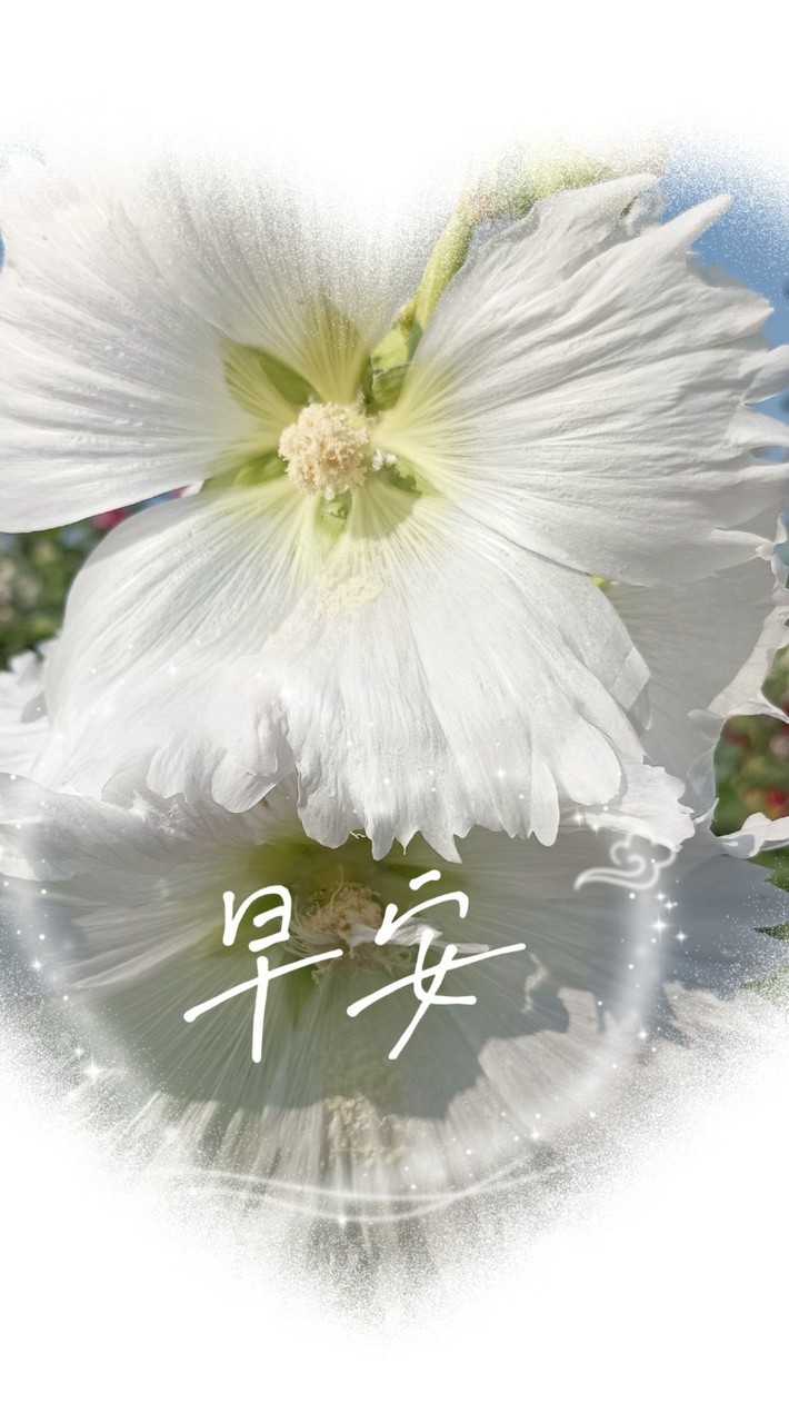 養生開心遊