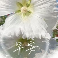 養生開心遊