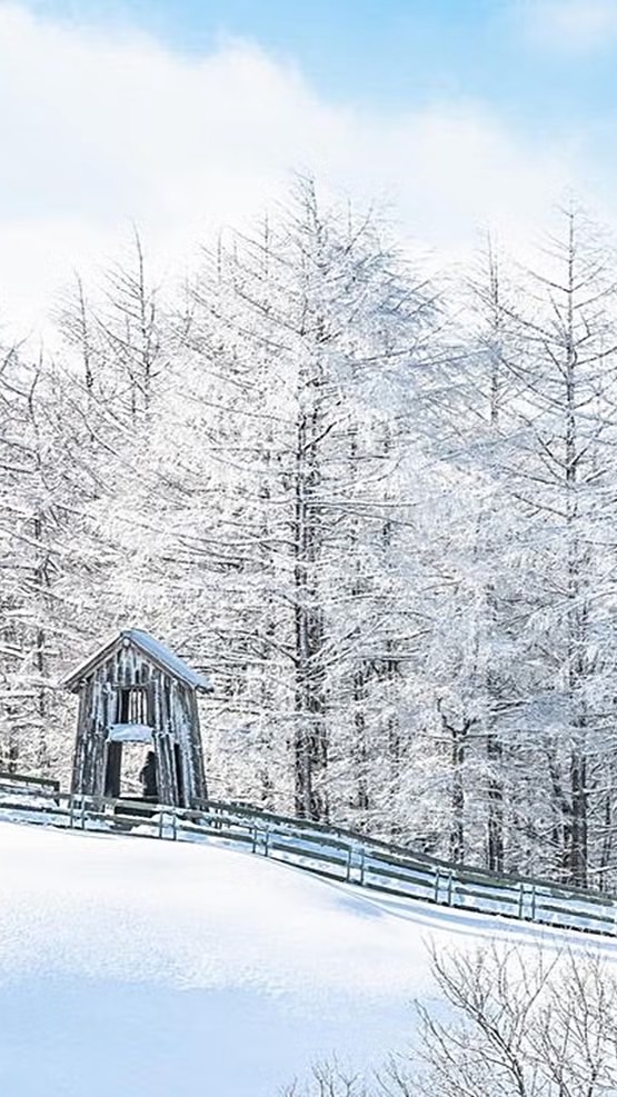 和放空間-吃好.變美.慢生活