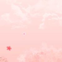 晶彩代購❤️日本代購4/19~4/22✈️沖繩連線