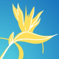 PARADISE Beach Resort