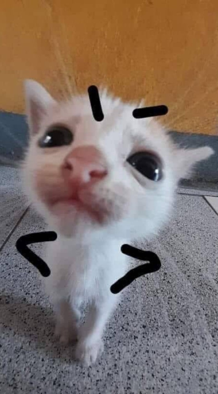 มีม