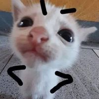 มีม