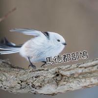 0817 吃換換🥰