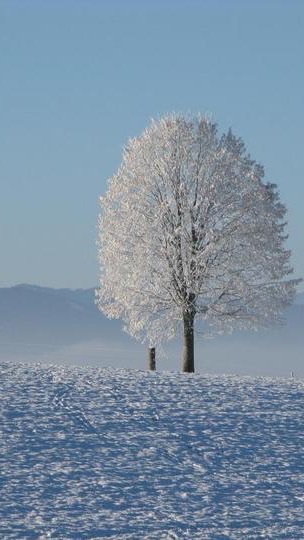 ❤️❤️感恩相遇大家庭❤️❤️
