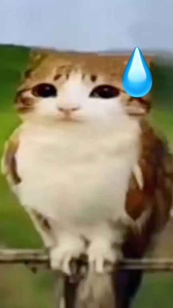 全也激緩ハント‼️