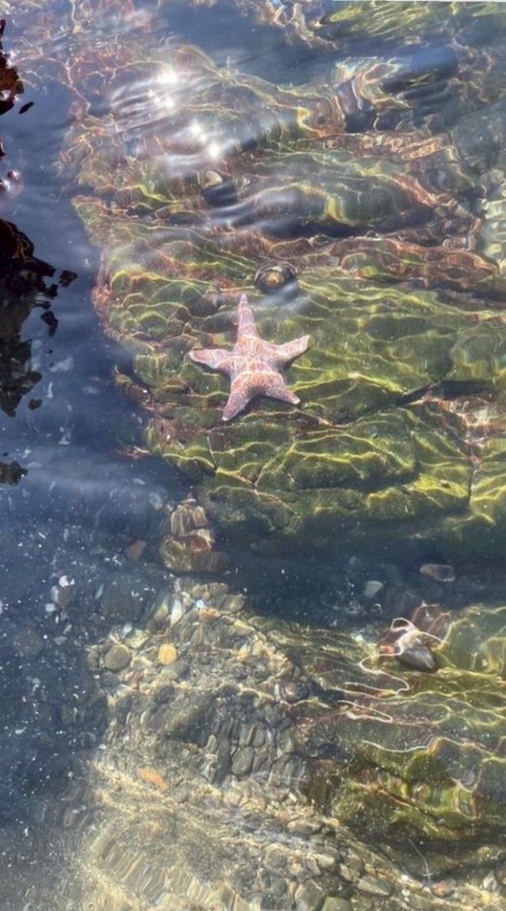 ˓˓ 𓂃 ลูกทีม new acc യ 🎀