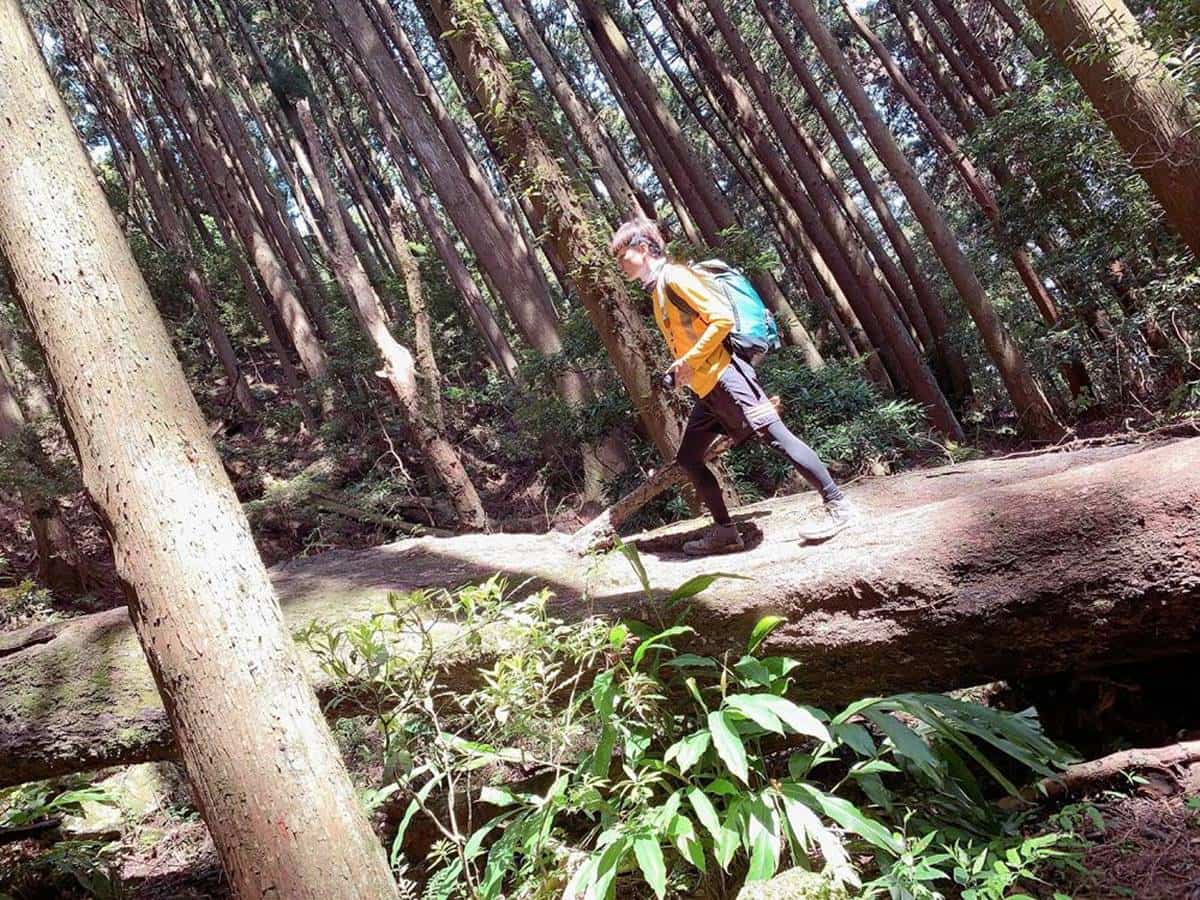 別只會逛老街！苗栗南庄５祕境景點：綠寶石溪流步道、苗栗小百岳、夢幻樹屋