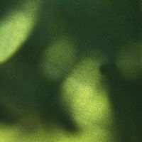 Green League