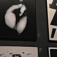 Coccyx