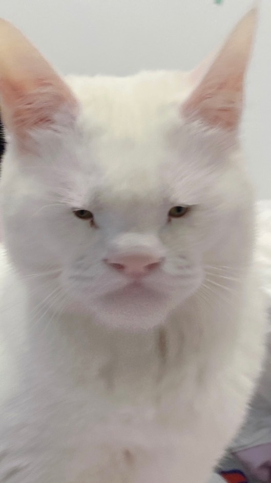 相親相愛一家人💗💗
