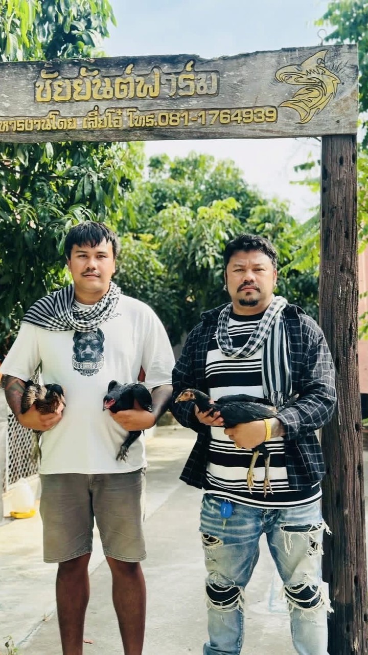 ณัฏฐิชาฟาร์ม ซุ้มหนองอีต๋อง