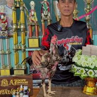 ซุปเปอร์เจี๋ยงกลุ่ม4