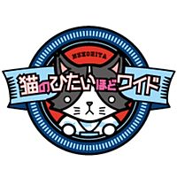 猫のひたいほどワイド