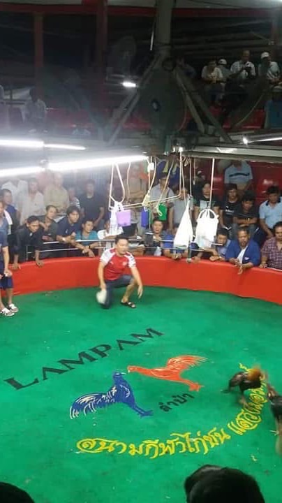 ซุ้ม กระเรียนดำ เชียงราย